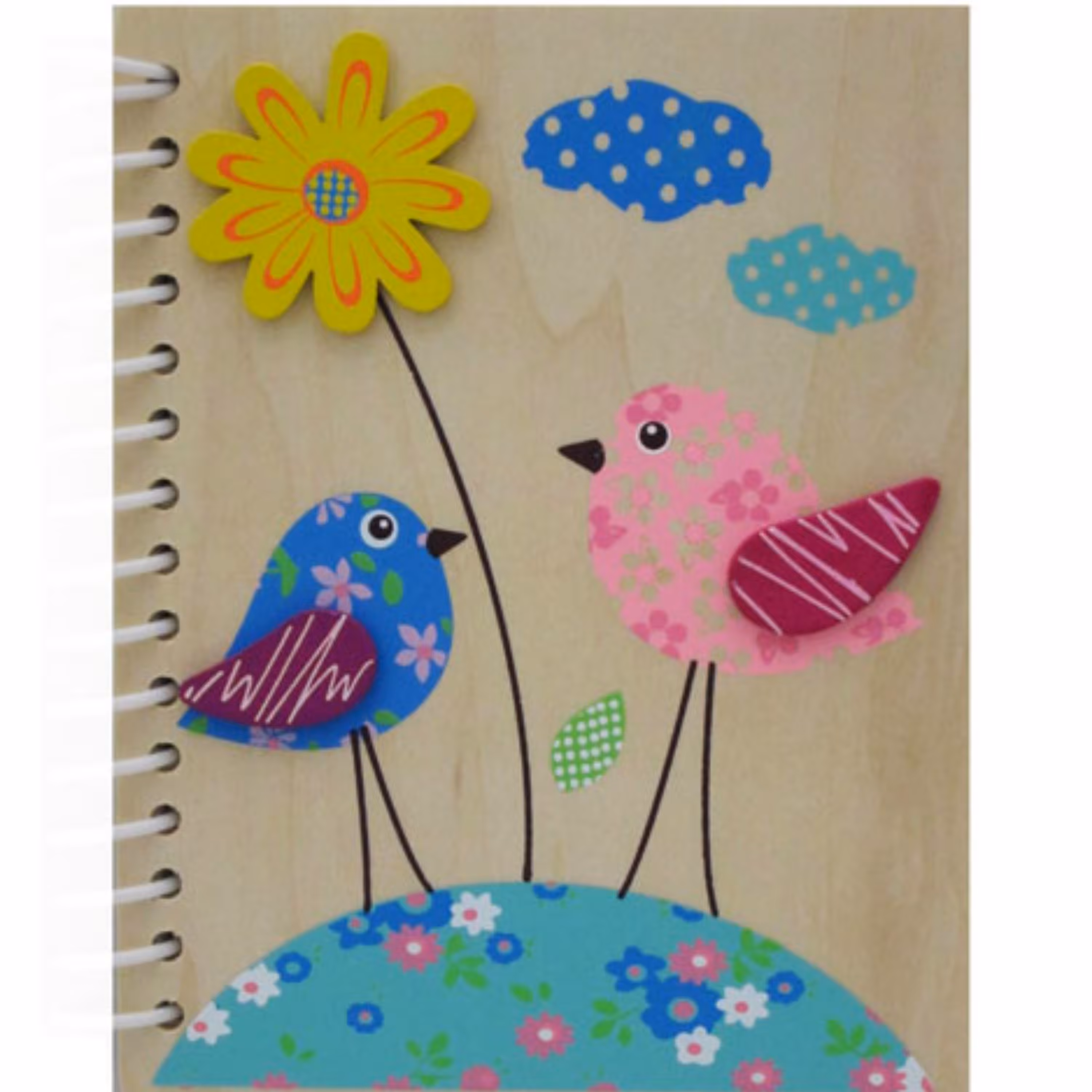 دفترچه سیمی بزرگ پیکاردوDF-022