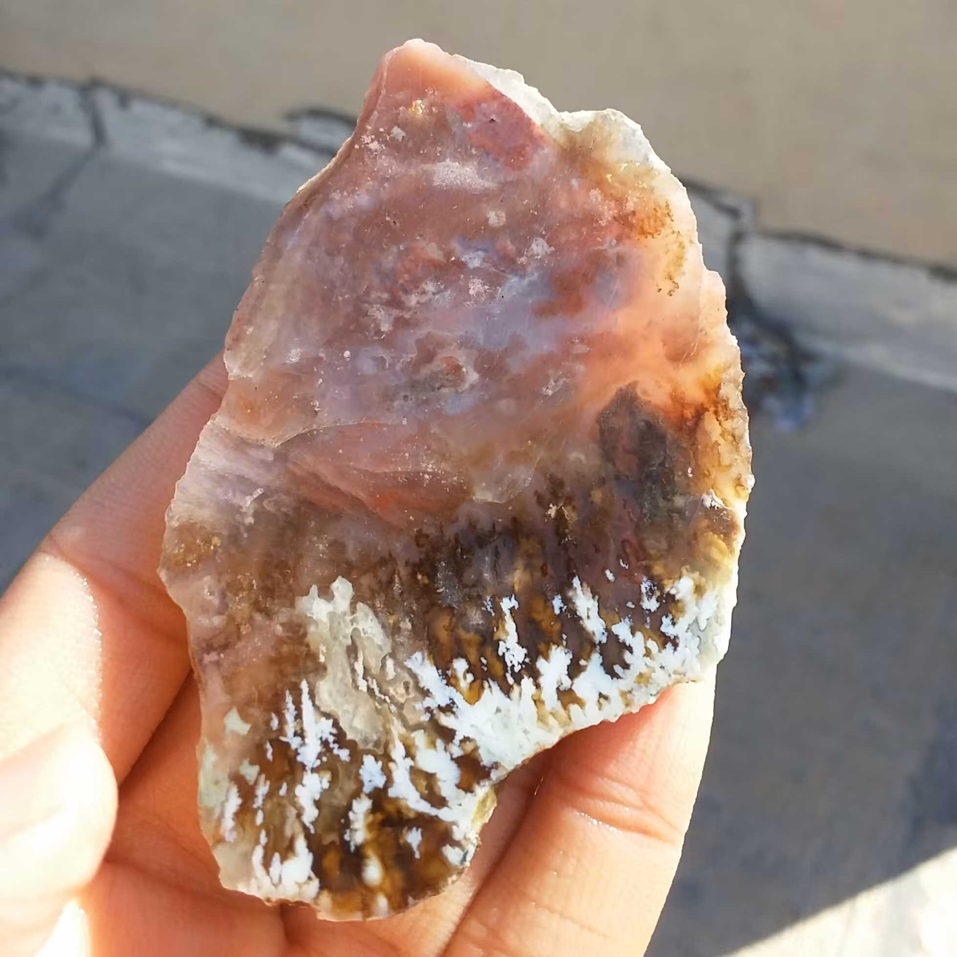 اسلایس سنگ راف عقیق شجر منظره تراش بسیار نازک بسیار زیبا و خاص 100 در 100 طبیعی  شاهکار خلقت
کد 12312