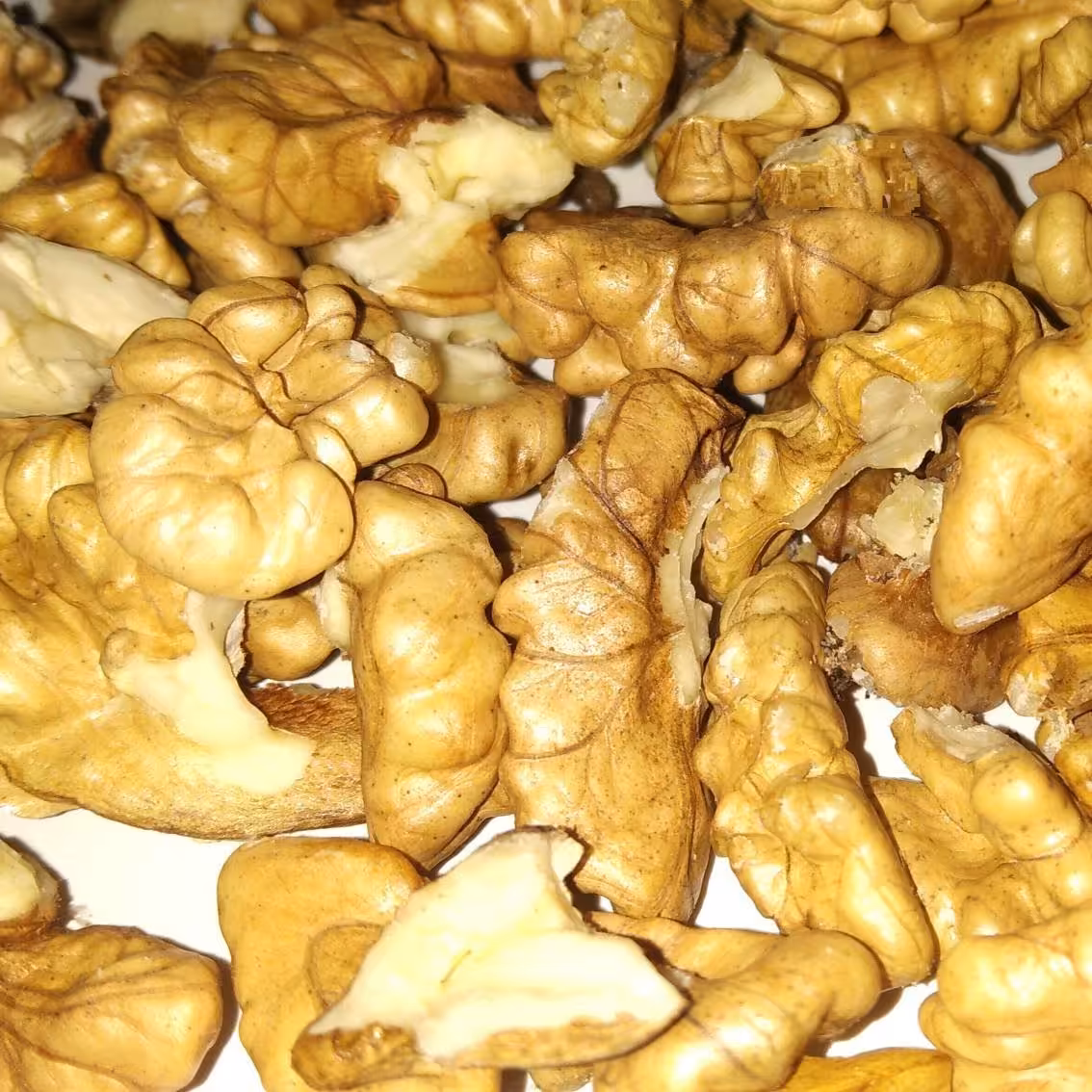 مغز گردوی نصفه سفید (شکسته) اعلا با  ارسال رایگان