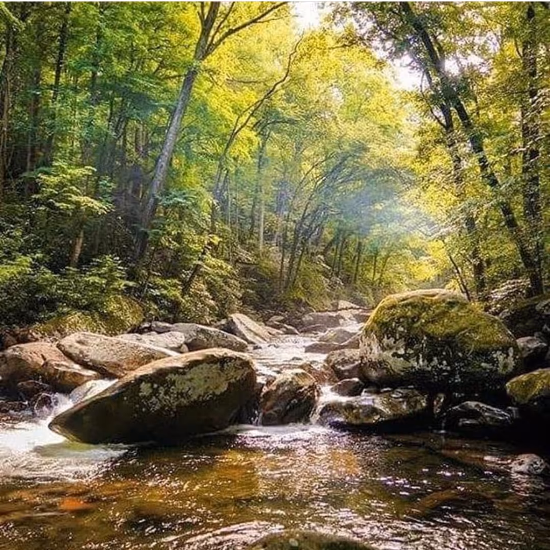 تابلوی نقاشی منظره بهار و آبشار