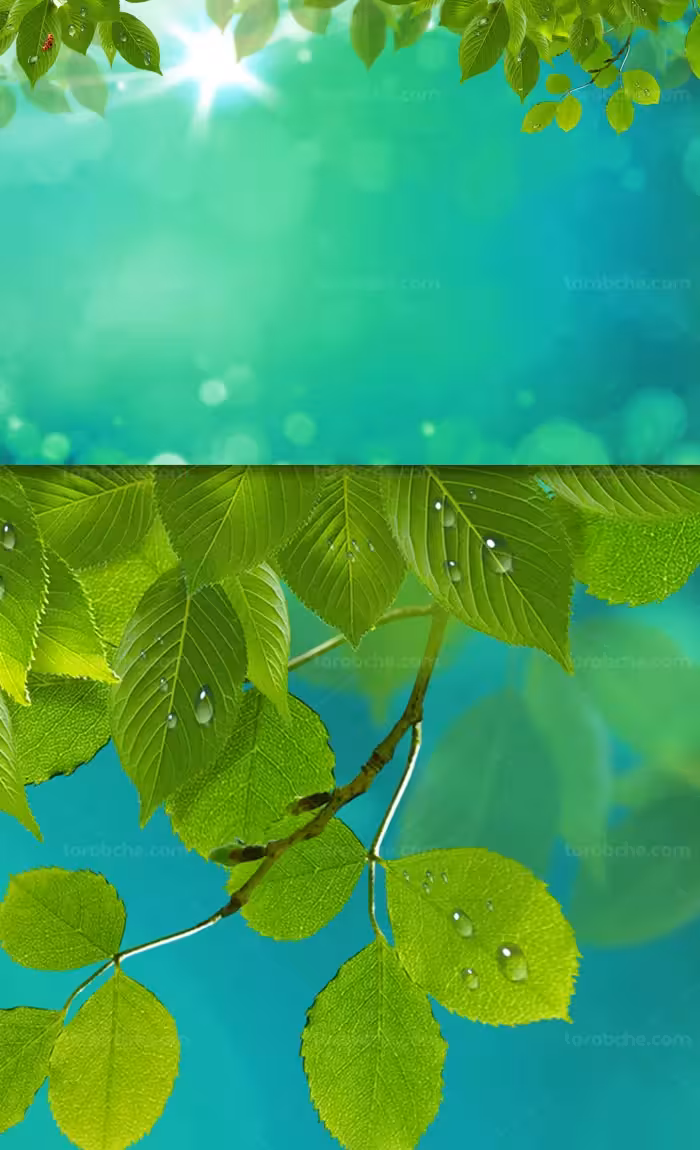 بکگراند و زمینه طبیعت با برگ های سبز تازه - گرافیک با طعم تربچه