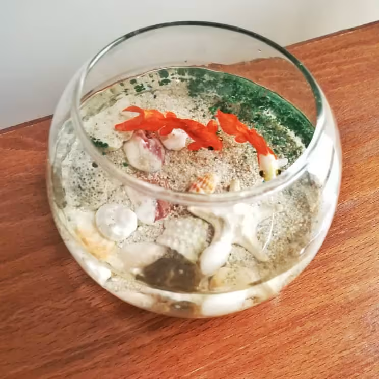 ماهی سفره هفت سین