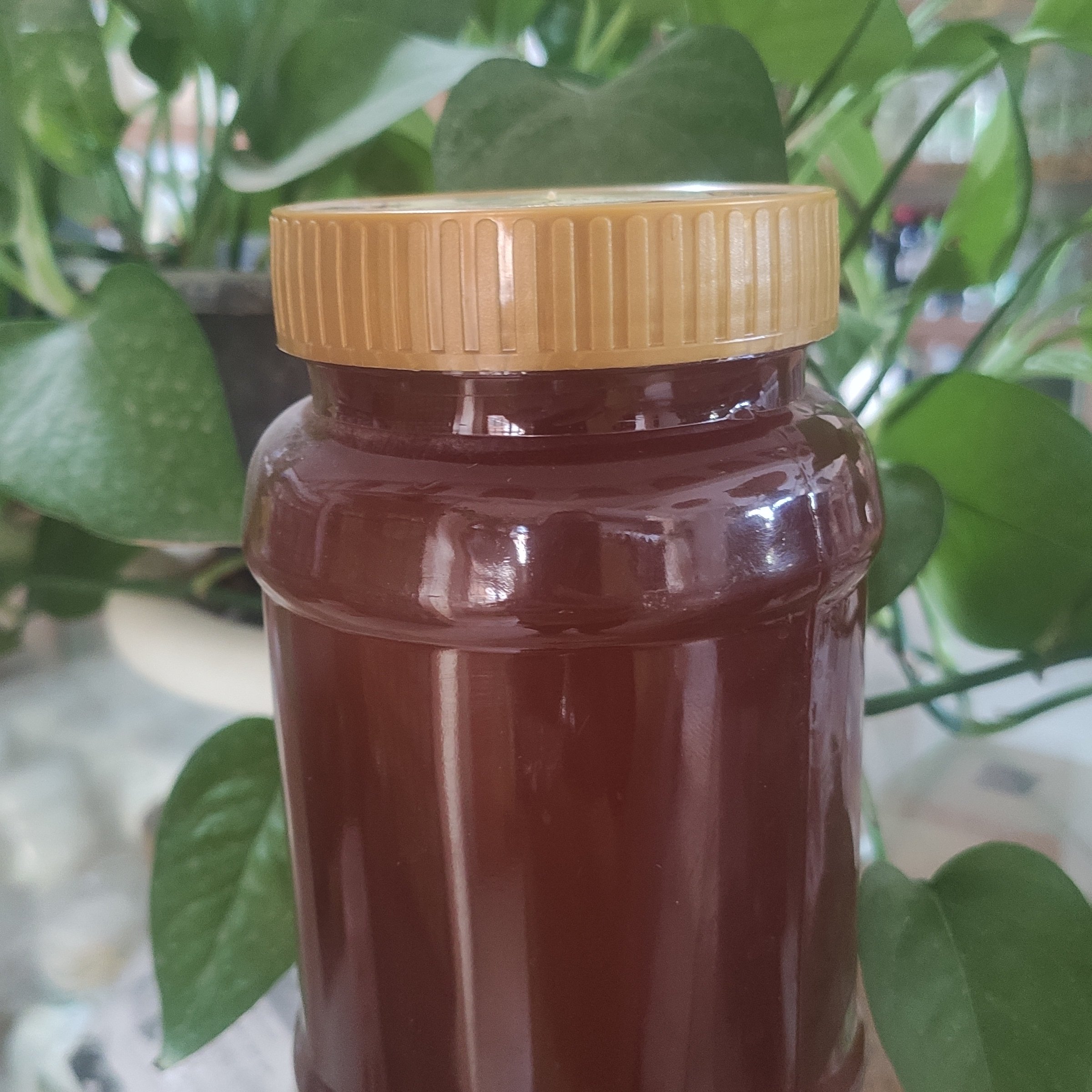 عسل خالص و ارگانیک گون با ساکاروز زیر1/5درصد