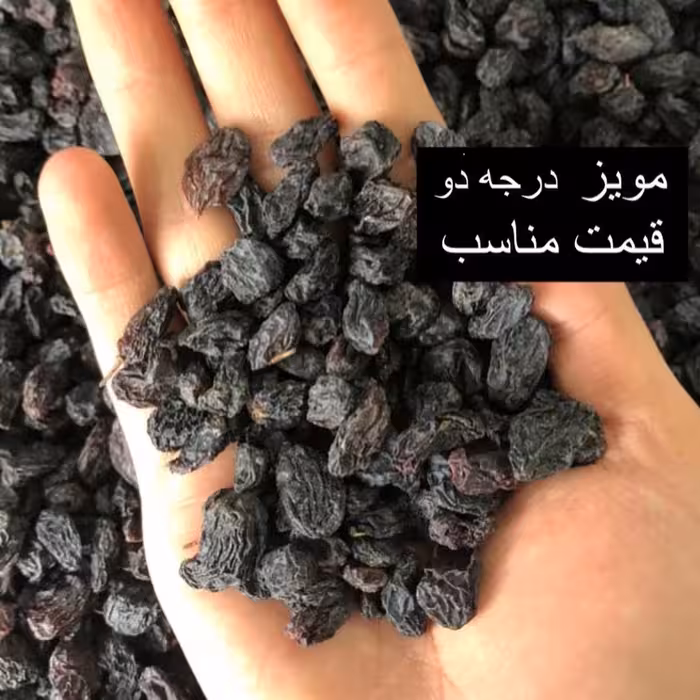 مویز بدون هسته ممتاز ، یک کیلویی