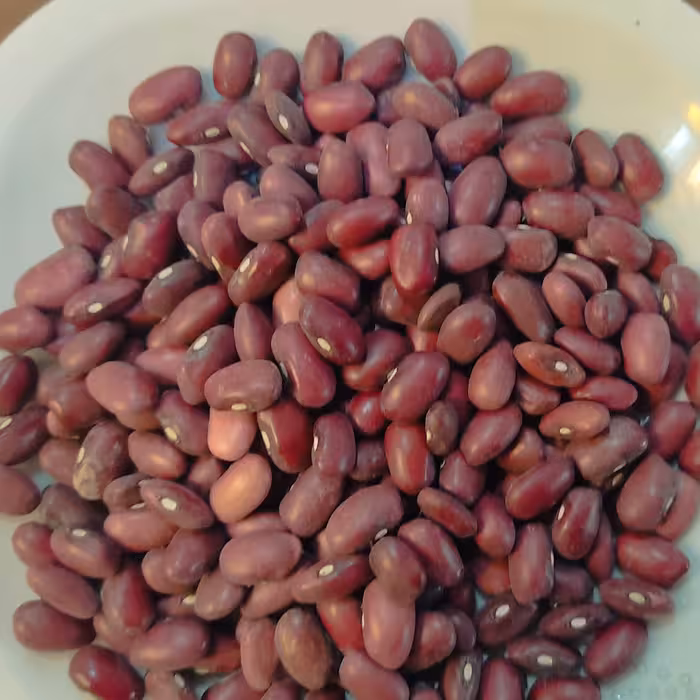 لوبیا قرمز دستچین بوجاری و درجه یک کاملا خوش پخت بسته بندی یک کیلویی 