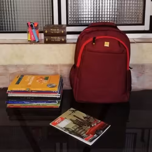 کوله پشتی کاترپیلار طرح کلاسیک رنگ زرشکی