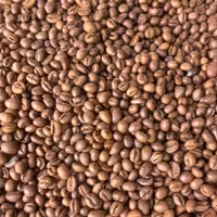 دان قهوه پی بی روبوستا رست تازه انرژی زیاد فول کافی طعم عالی