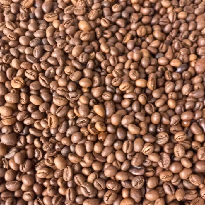 دان قهوه پی بی روبوستا رست تازه انرژی زیاد فول کافی طعم عالی