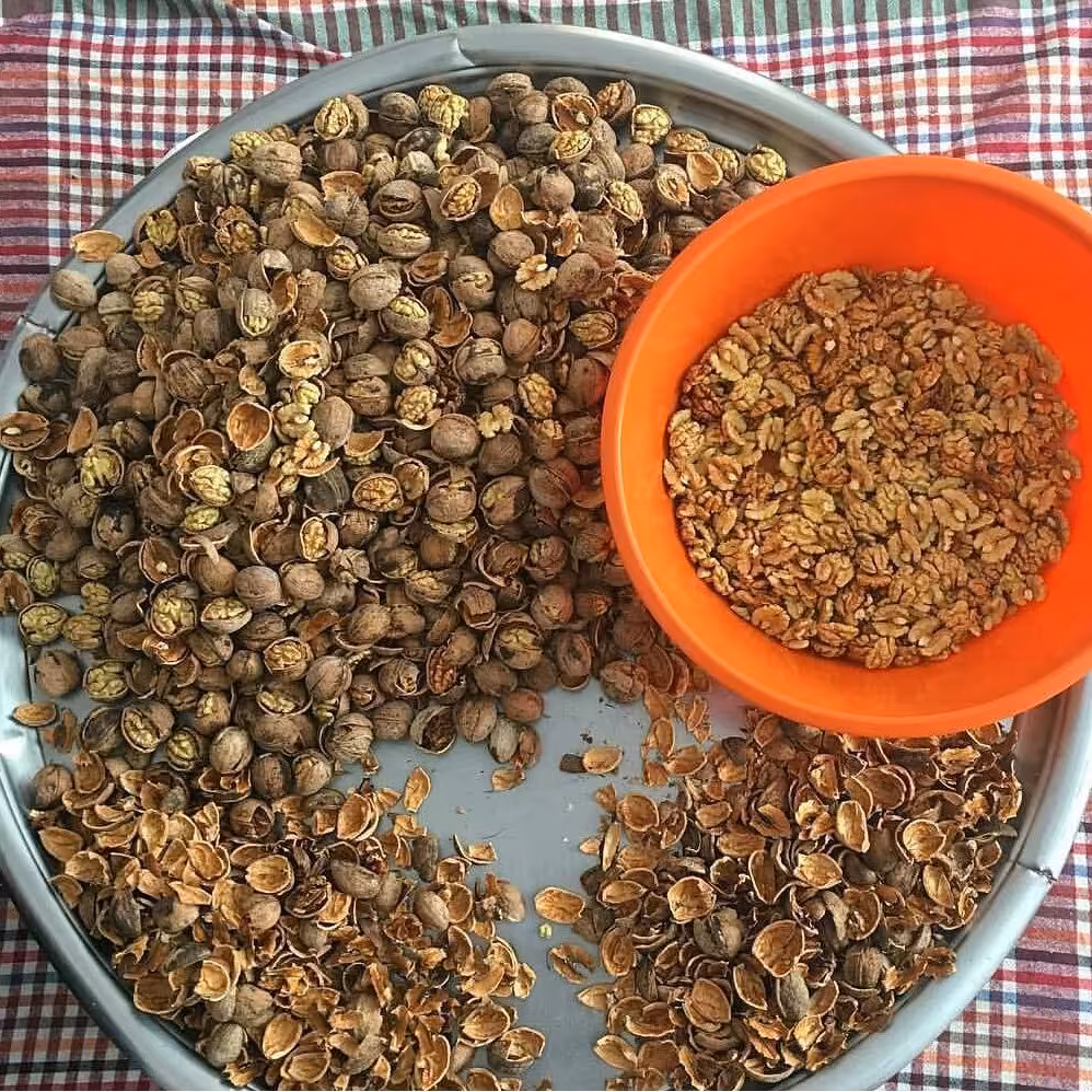 مغز گردو سفید ایرانی تازه 1 کیلوگرم