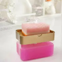 جا مایع و اسکاج رایکا