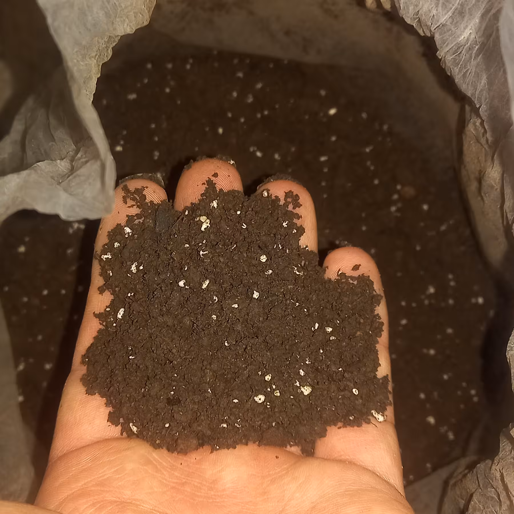 خاک پرورش حلزون