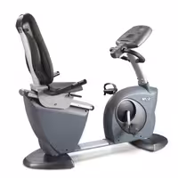 دوچرخه ثابت مبله باشگاهی دبلیو ان کیو مدل WNQ 8318WB