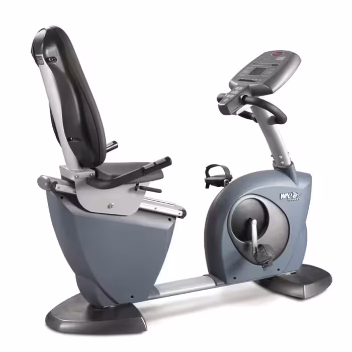 دوچرخه ثابت مبله باشگاهی دبلیو ان کیو مدل WNQ 8318WB