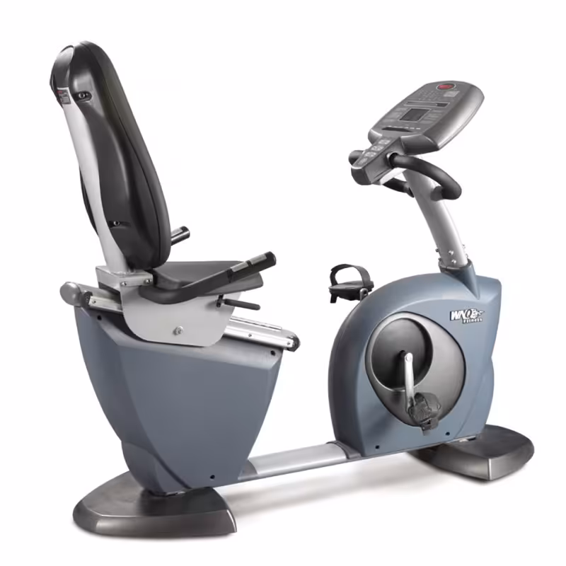 دوچرخه ثابت مبله باشگاهی دبلیو ان کیو مدل WNQ 8318WB