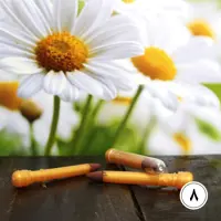 سرمه مدادی قهوه ای پررنگ محصولات طبیعی زیتون