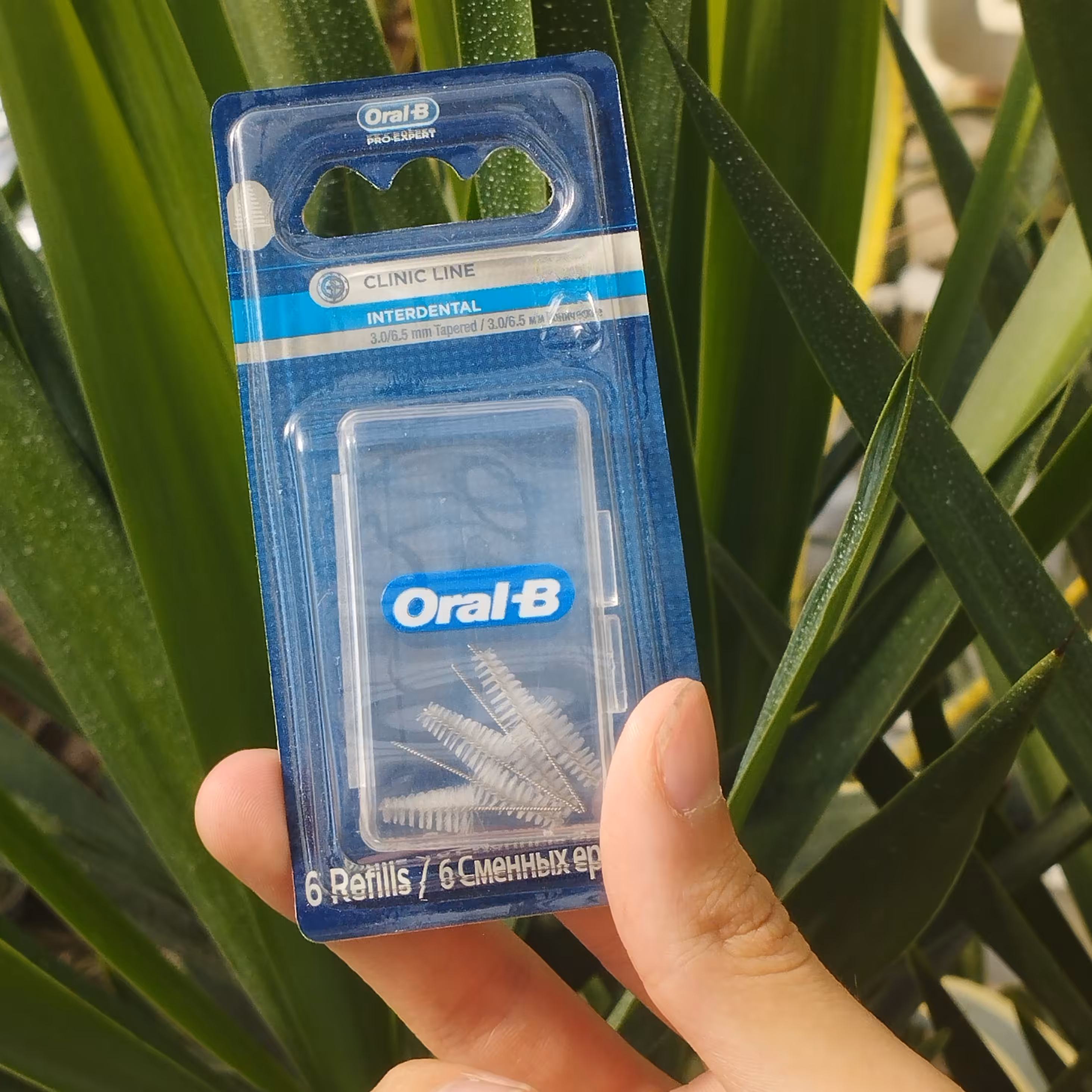 سری مخروطی مسواک بین دندانی اورالبی 