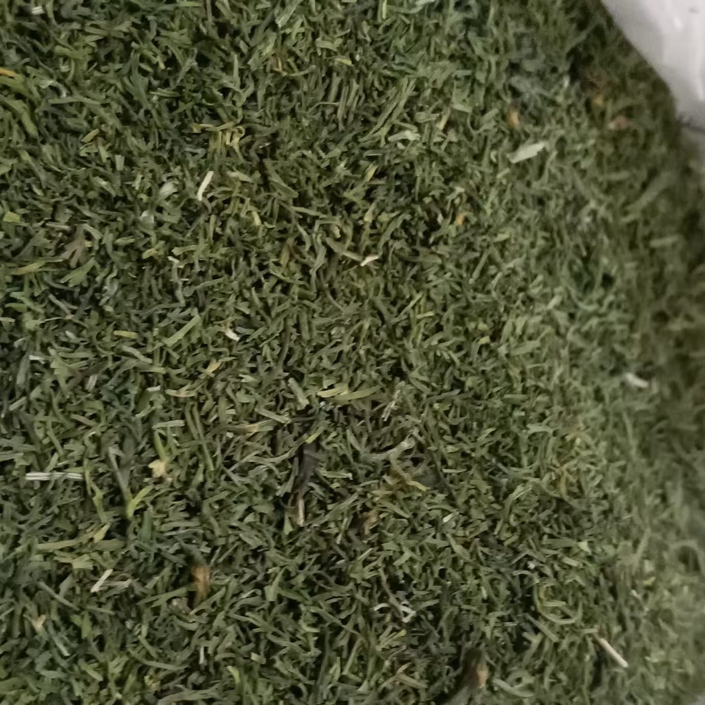 شویدخشک تمیز شسته شده وخشک شده آن بصورت کاملا سبز وبدون زردی بدون چوب و ساقه 