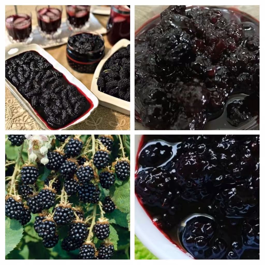 مربای تمشک 1 کیلو