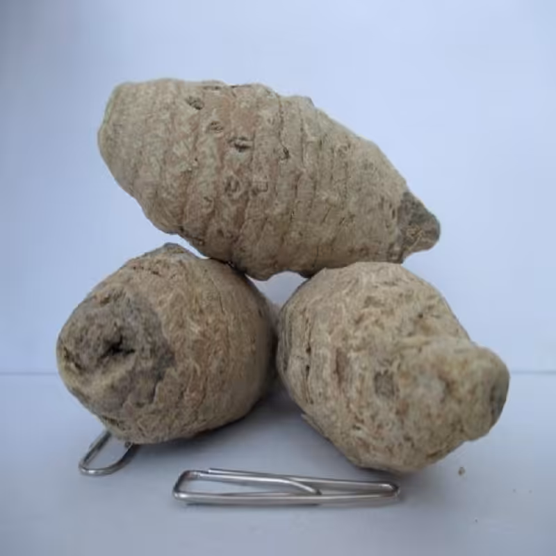 نرکچول هندی 60 گرمی 