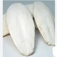 کف دریا(50گرمی)
