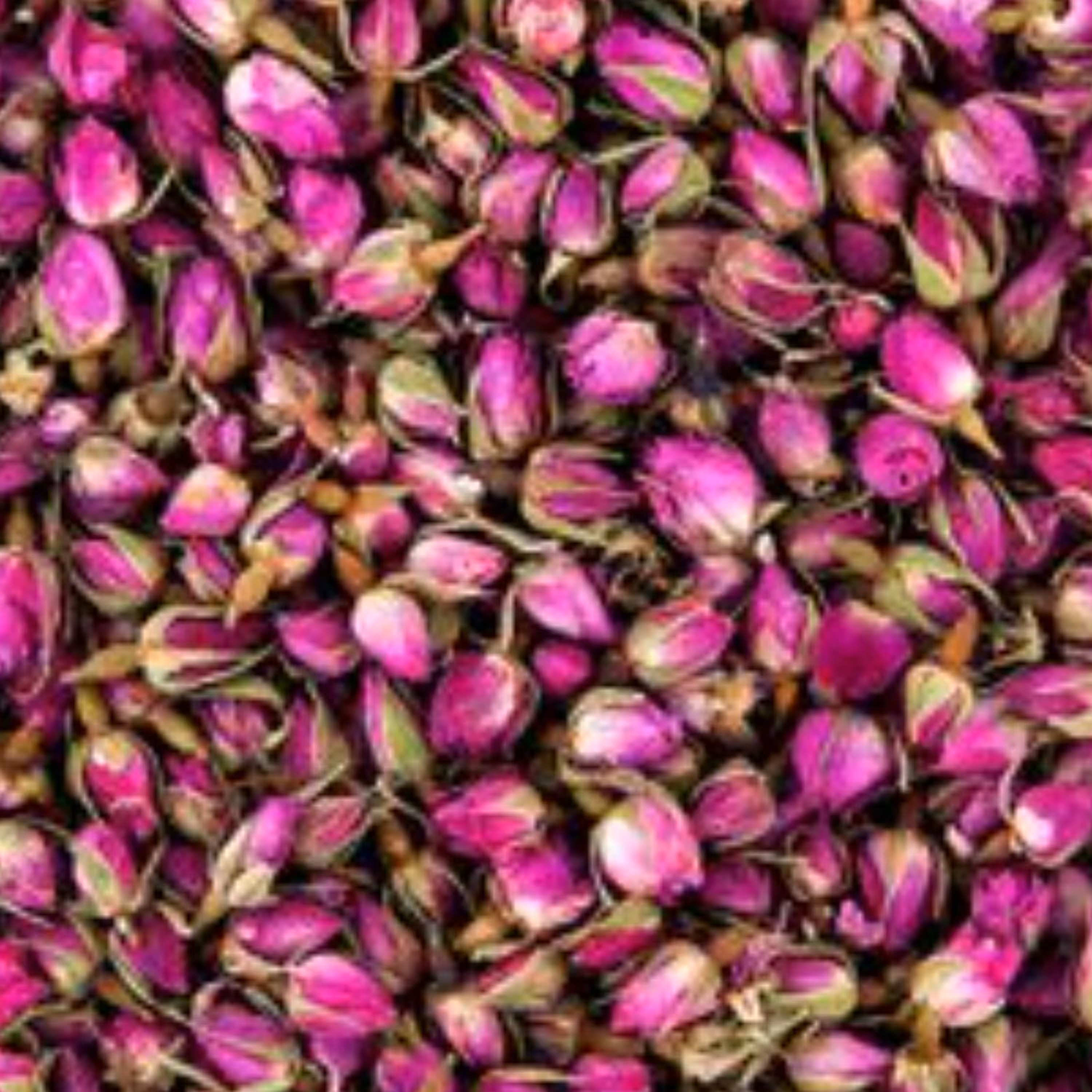 غنچه گل محمدی قمصر کاشان (سنتی تولید خانگی)