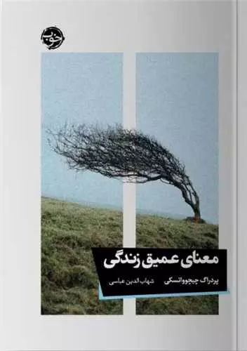 کتاب معنای عمیق زندگی رقعی خوب