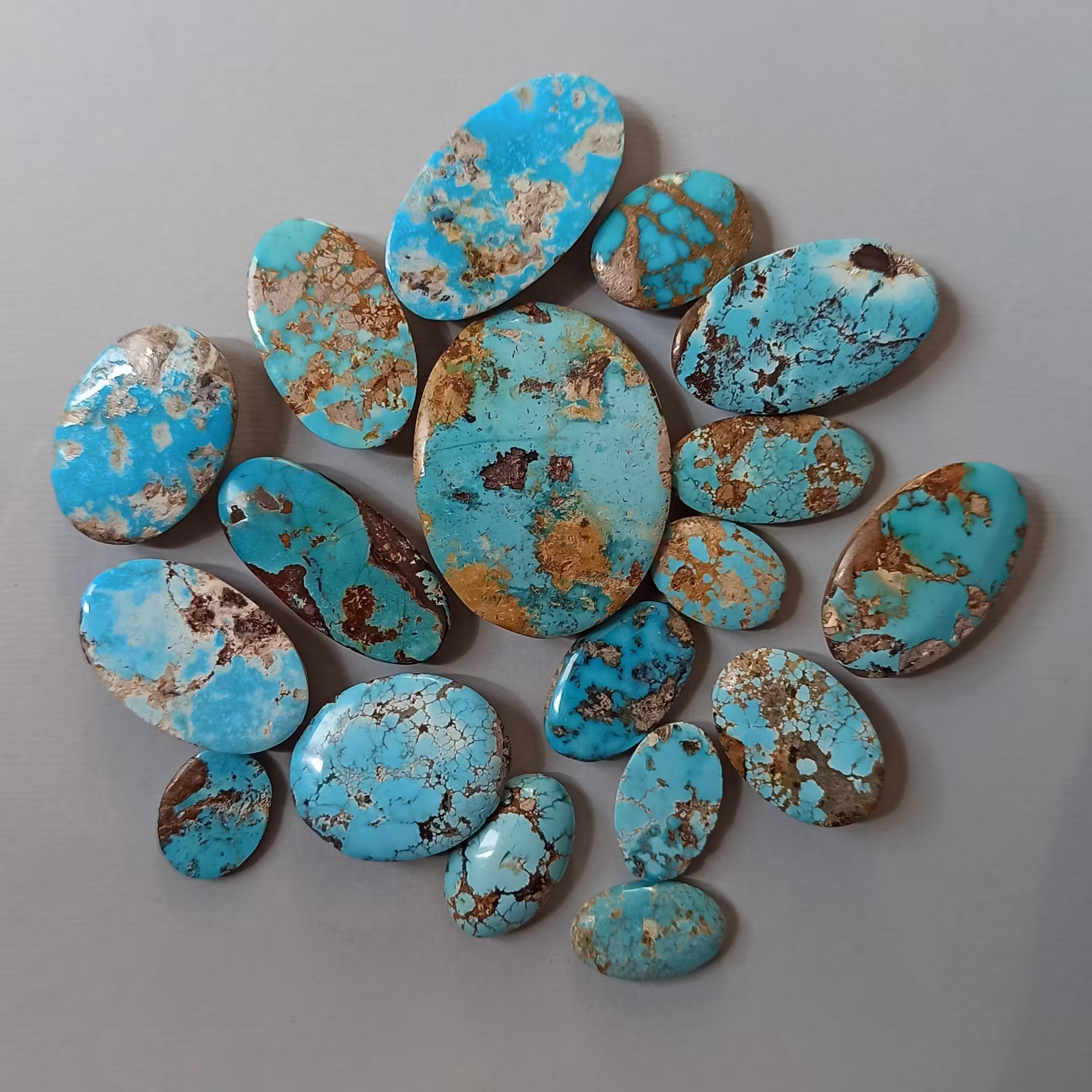  فیروزه نیشابوری  (بارخانه)  F1