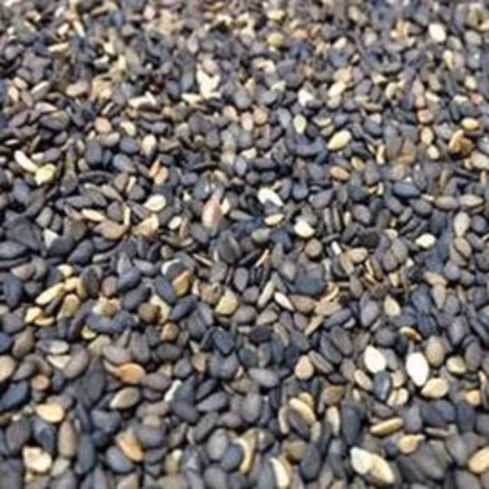 کنجد بو داده بی نمک 100گرم 