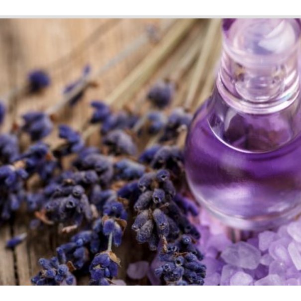 عطر استخودوس طعام البرکت کد89استوخودوس اسطوخودوس