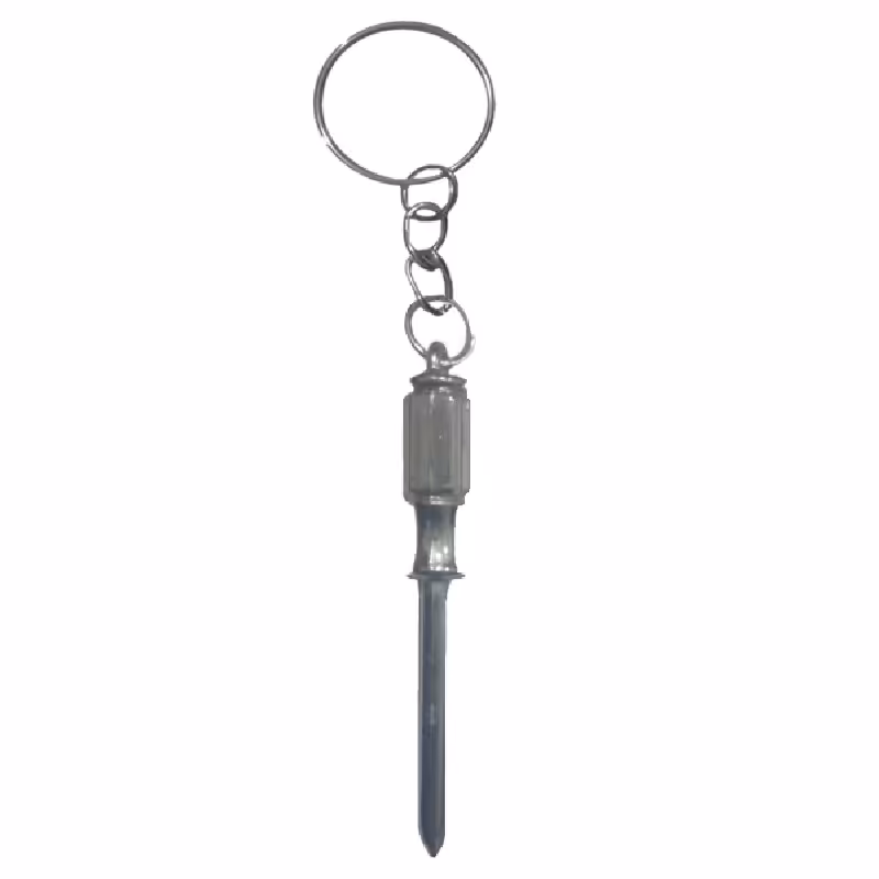 جاسوییچی طرح پیچگوشتی