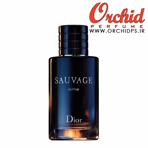 DIOR Sauvage Parfum