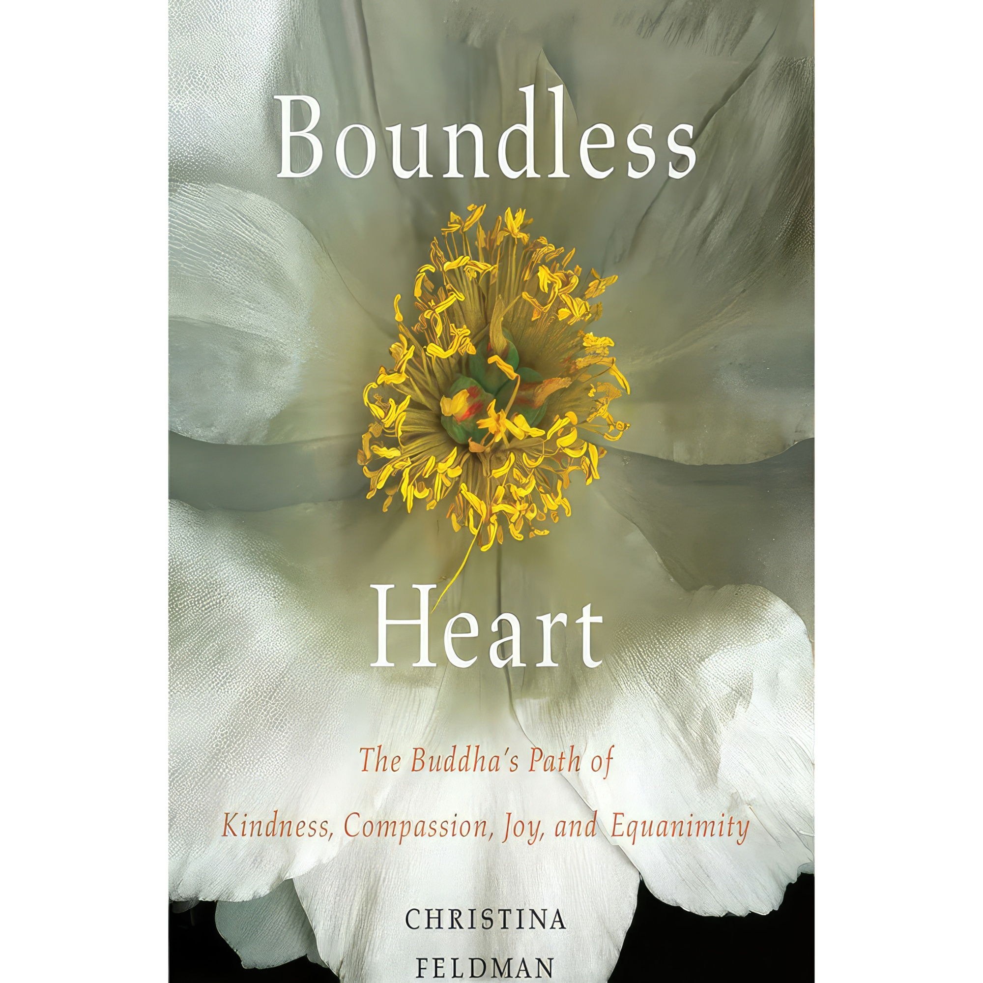 کتاب زبان اصلی Boundless Heart اثر Christina Feldman and Erin Moon