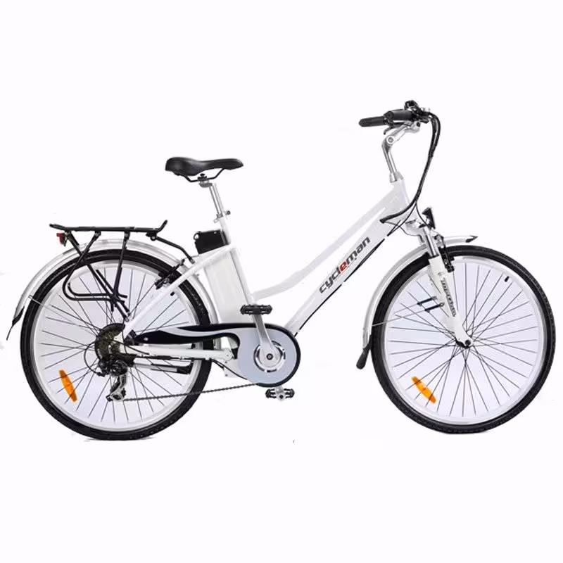 دوچرخه برقی اروند موتور پاک AMP 6001