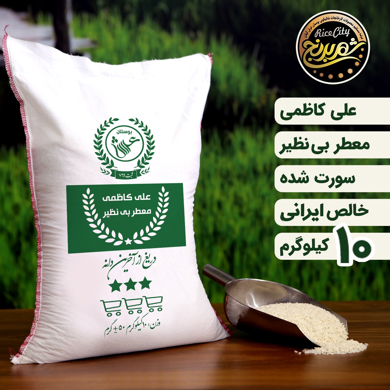 برنج علی کاظمی محلی گیلان 10 کیلویی تضمین کیفیت 