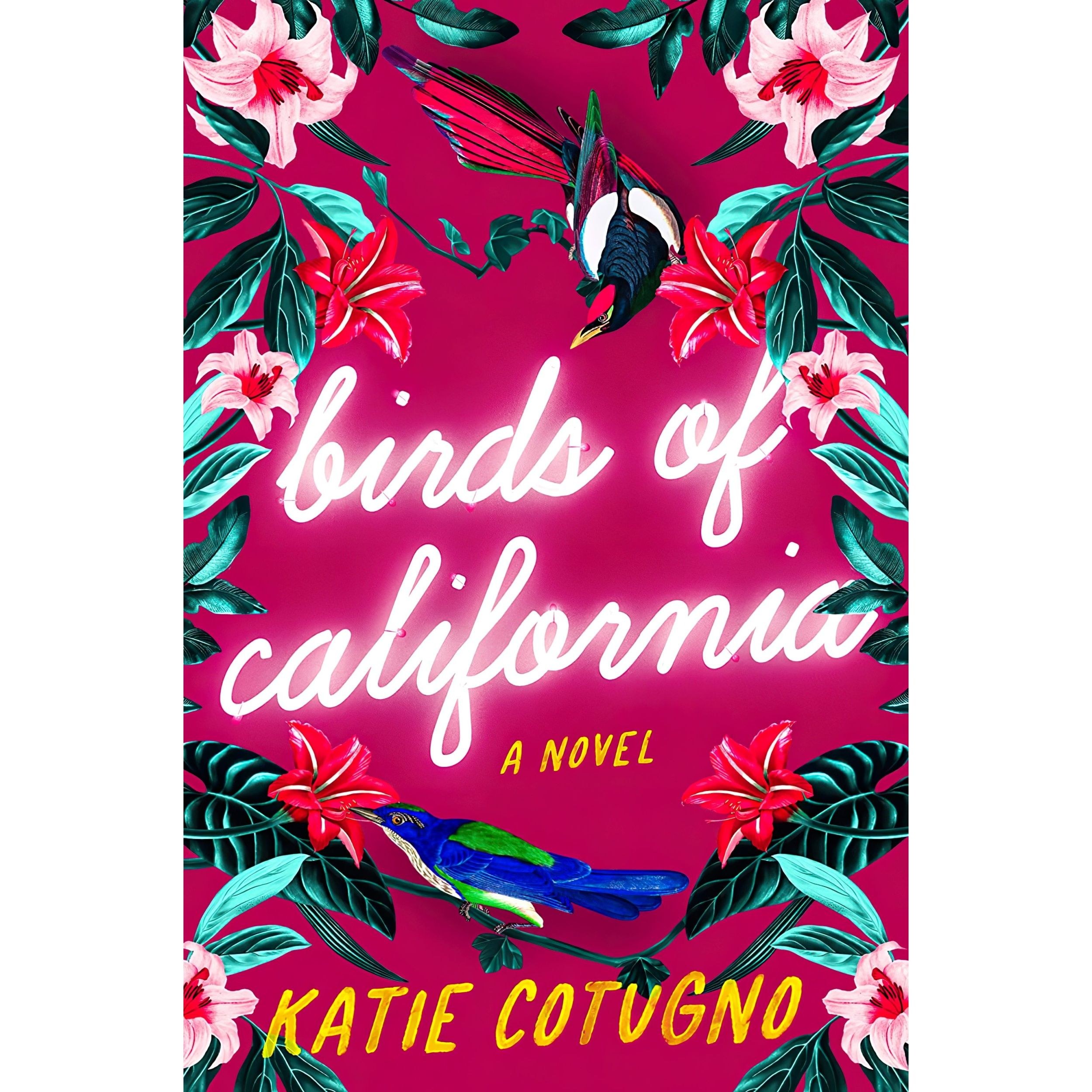 کتاب زبان اصلی Birds of California اثر Katie Cotugno انتشارات Harper Perennial