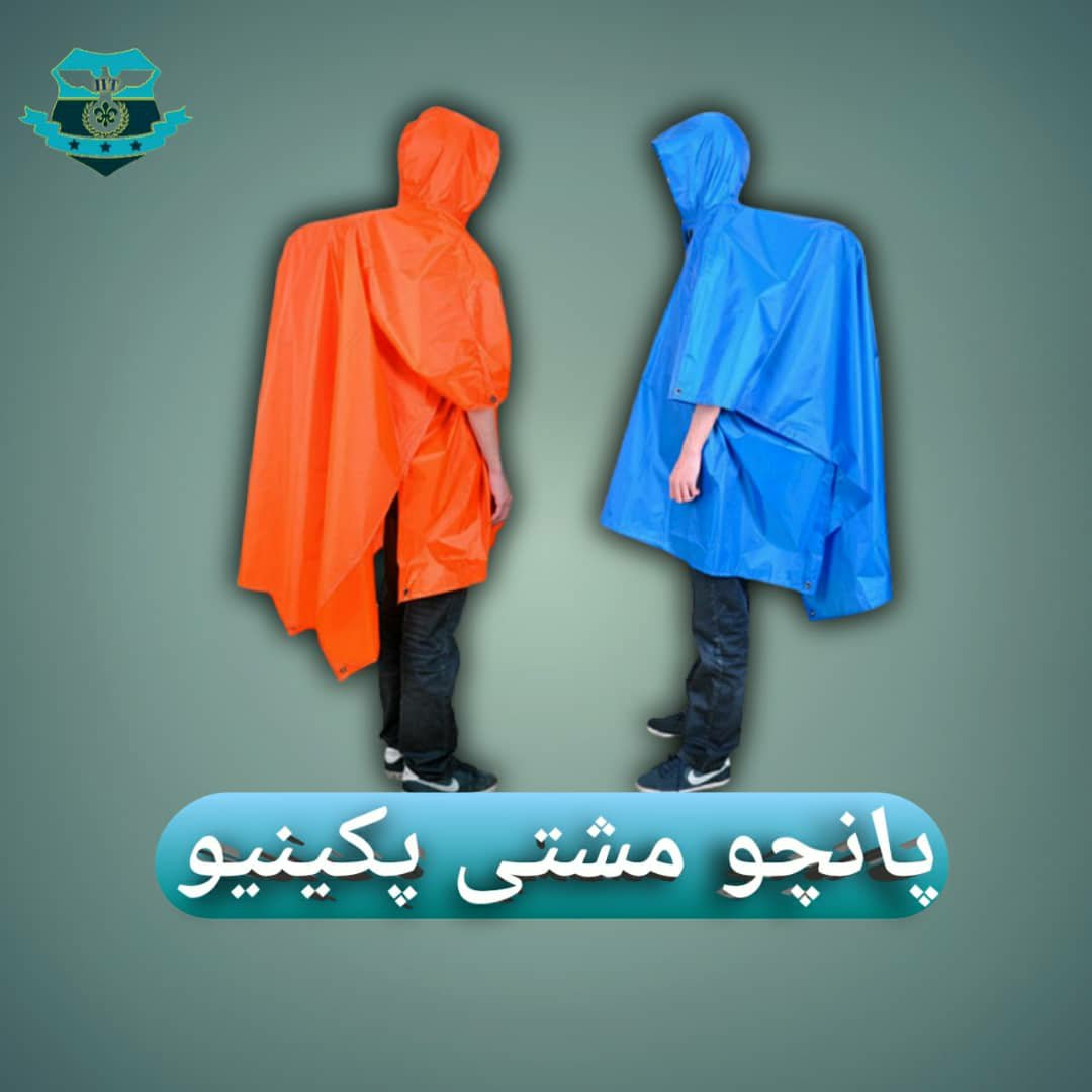 پانچو پکینیو اصل