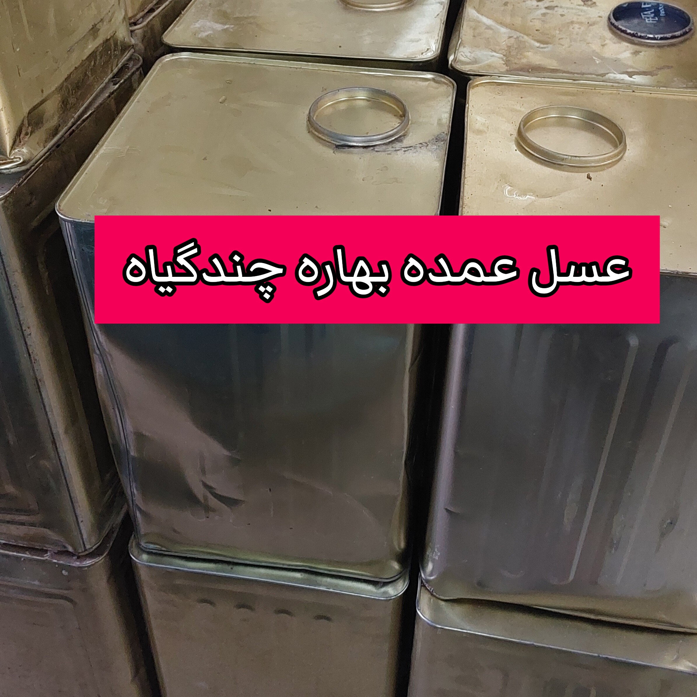 عسل عمده بهاره چندگیاه حلب 27 کیلویی (خرید مستقیم از زنبوردار)ارسال رایگان