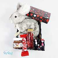 کادویی ولنتاین با عروسک خرگوش طبیعی