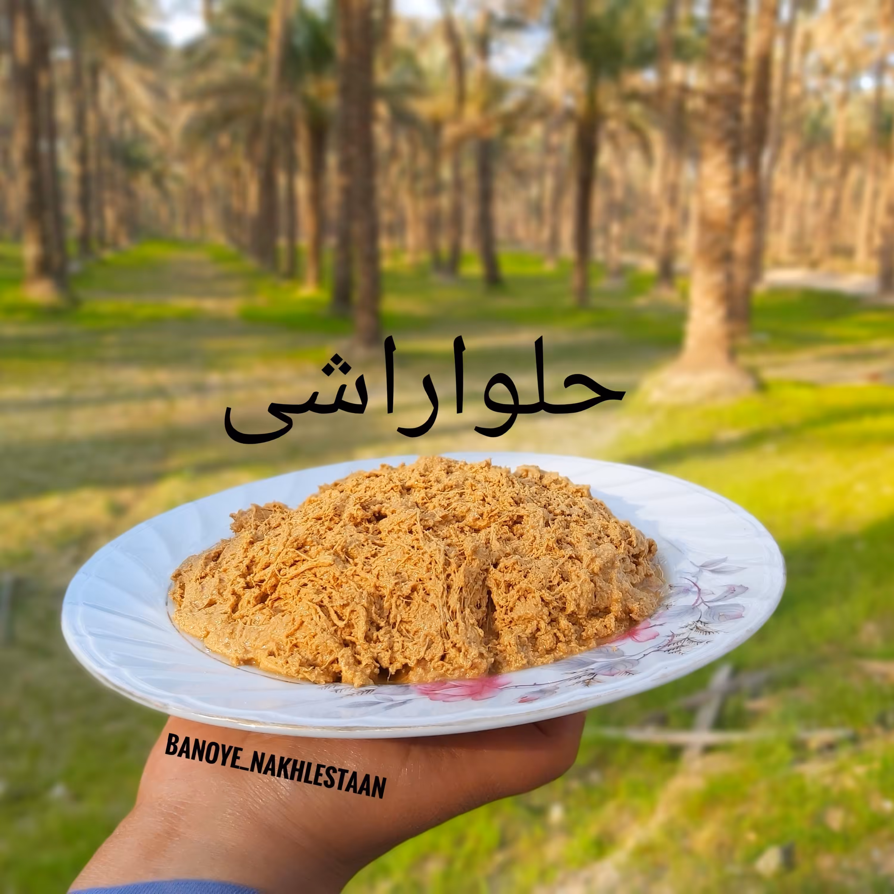 حلوا راشی بوشهری بدون شکر 600 گرمی