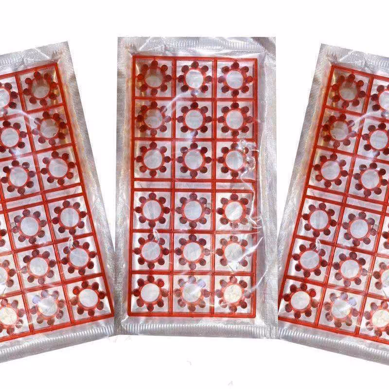 تیر تفنگ ترقه ای