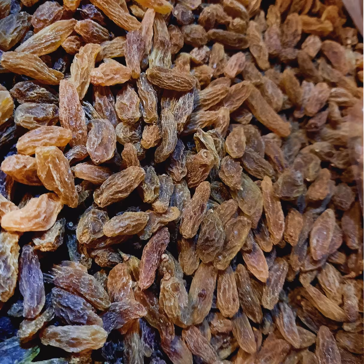 کشمش سبز  قلمی ممتاز  کاشمر (500 گرم)