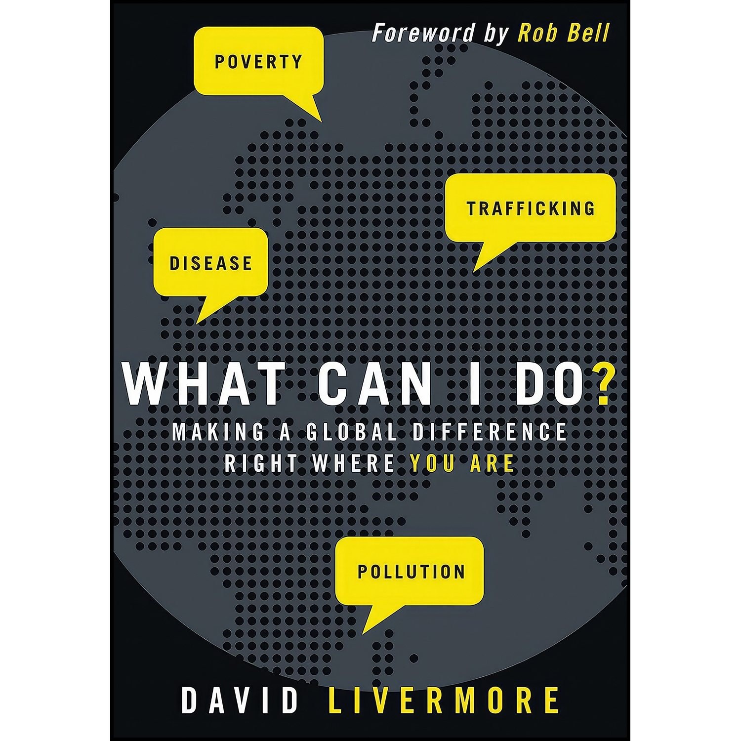 کتاب زبان اصلی What Can I Don اثر David Livermore and Rob Bell
