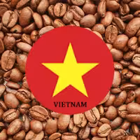 دان قهوه ویتنام لایت رست روبوستا فله  5 کیلویی 