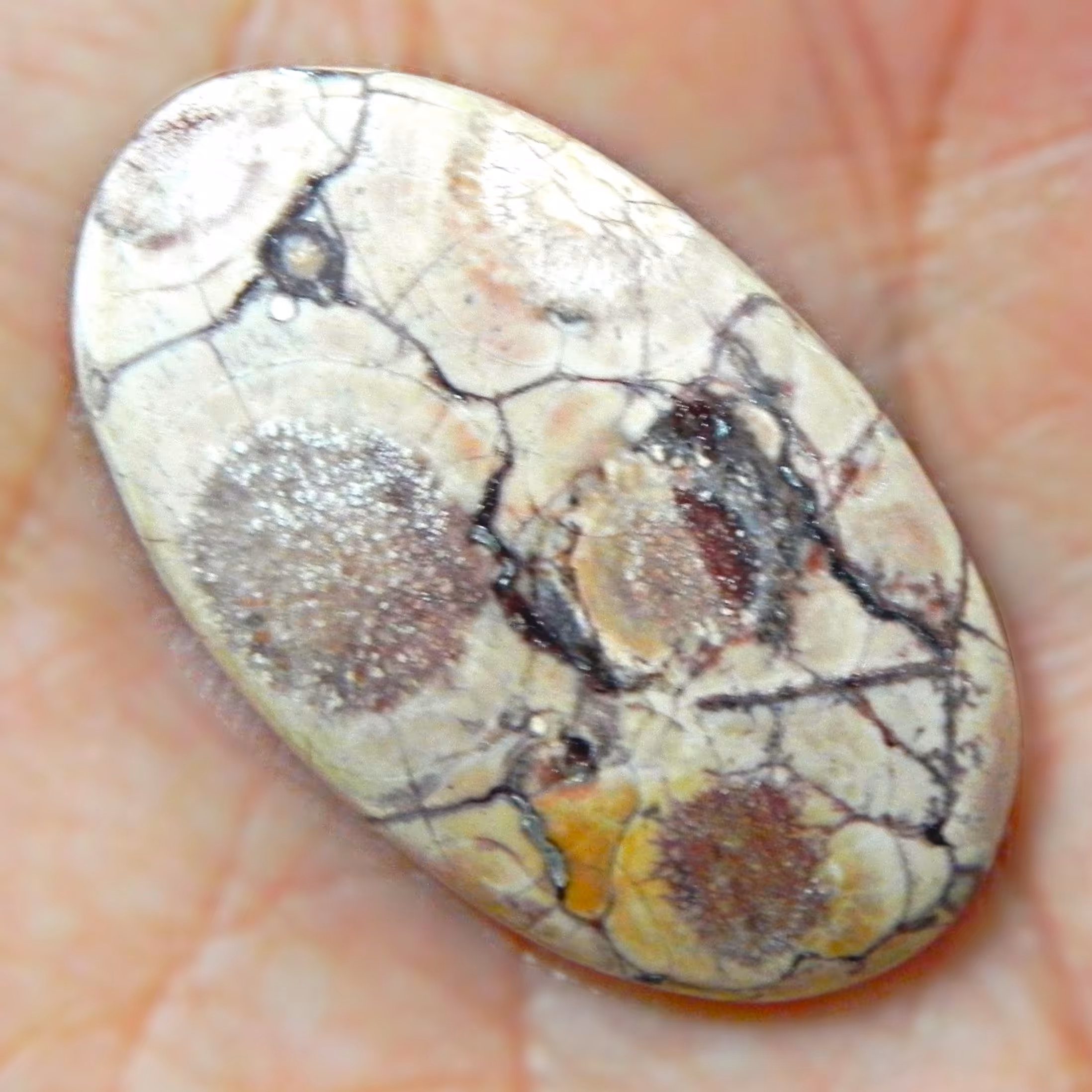 نگین وارداتی جاسپر چشم پرنده(سان فلاور) اصل معدنی مناسب آویز و گردنبند