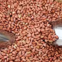 بادام زمینی استانه 1000 گرم بوداده کم نمک(محصول امساله 1403