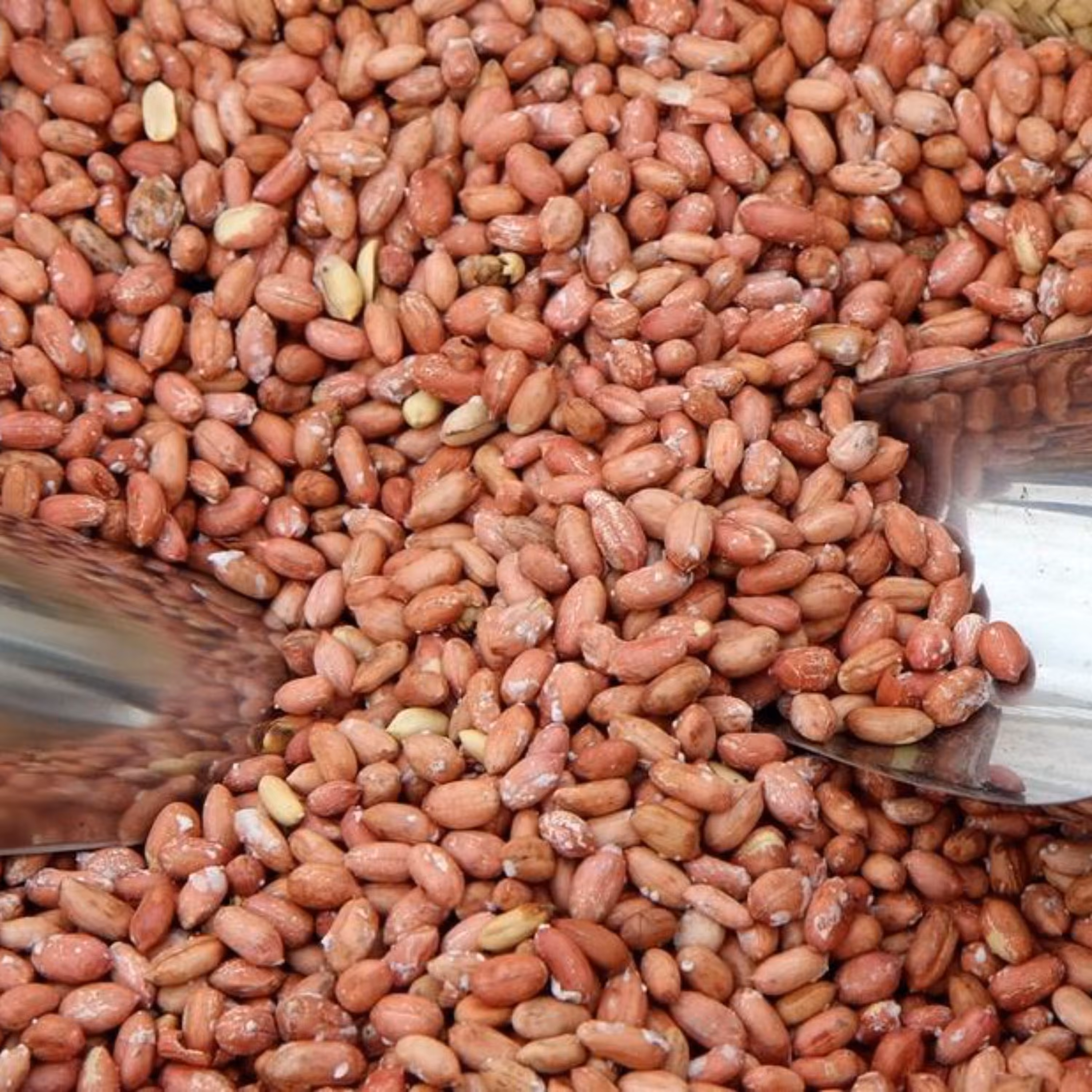 بادام زمینی استانه 1000 گرم بوداده کم نمک(محصول امساله 1403