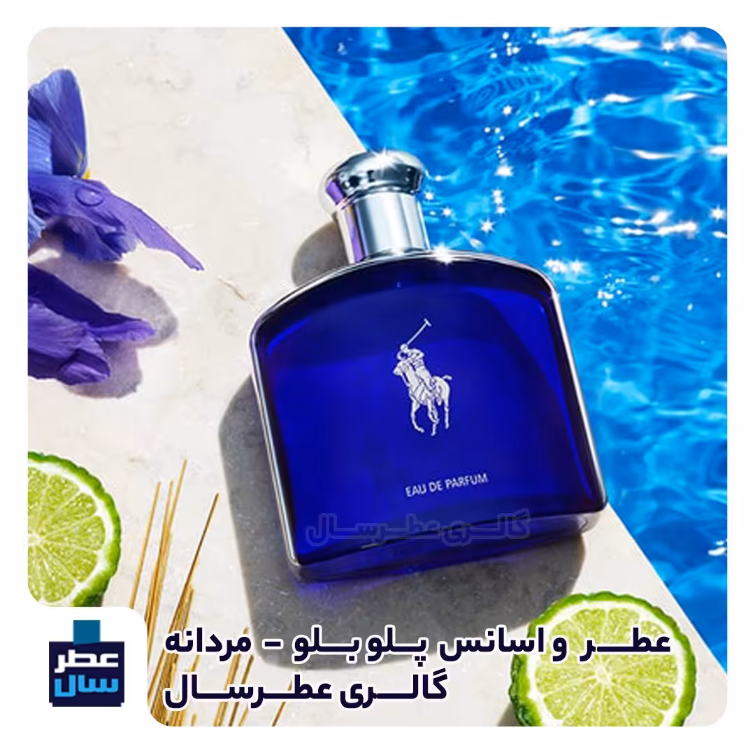 عطر پلو بلو در حجم اسپری 5.5 میل ممتاز یا رولی 4 میل (اسانس خالص پلو بلو کیفیت ممتاز) (توضیحات ملاحظه شود) 