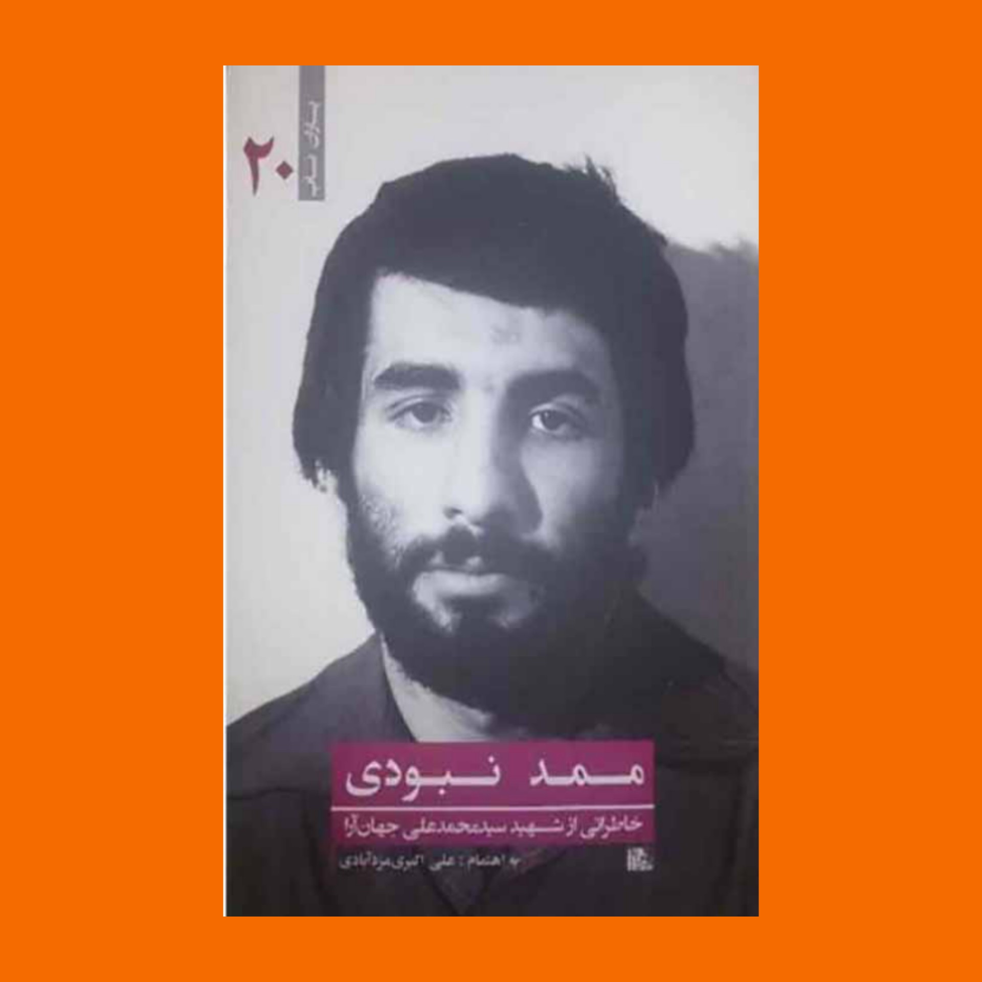 کتاب یاران ناب 20 - ممد نبودی
