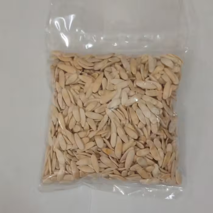 بذر خیار چنبر درجه 1 تولید 1403بسته 50 گرمی
