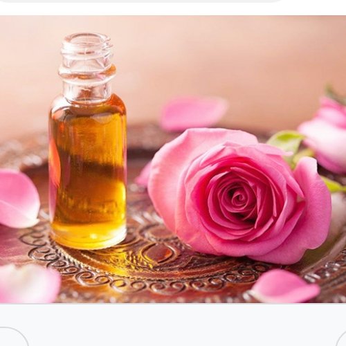 روغن گل سرخ 30 سی سی (مناسب پوست)